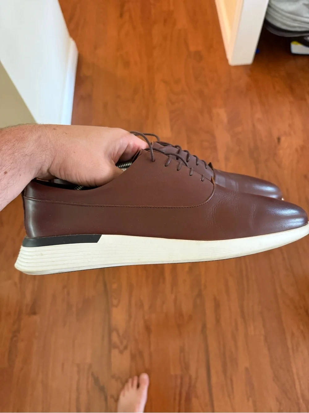 Men's Brown wolf and shepherd crossovers